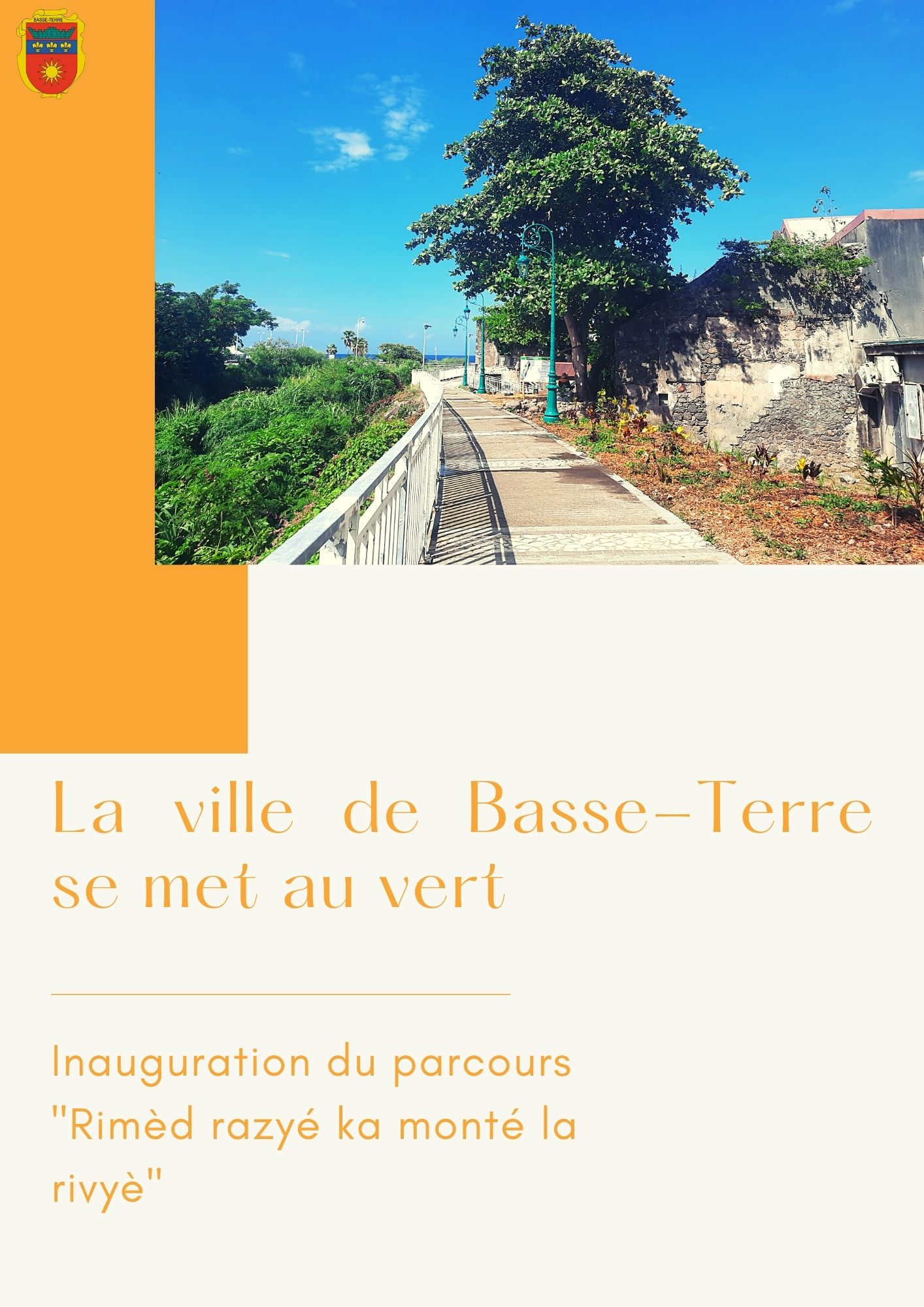 Nos "rimèd razyé" mis à l'honneur au coeur de la ville de Basse-Terre
