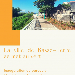 Nos "rimèd razyé" mis à l'honneur au coeur de la ville de Basse-Terre