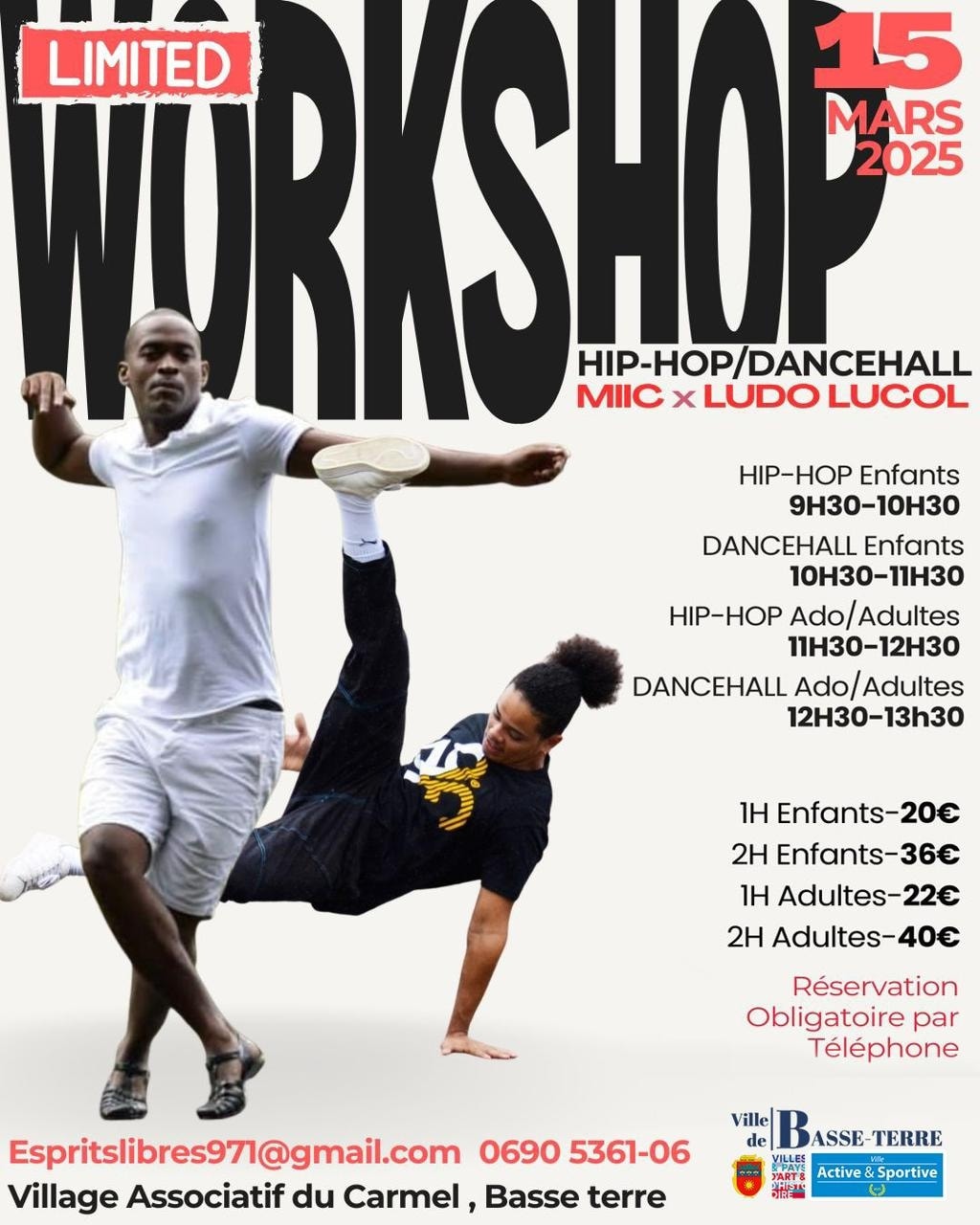 Dimanche 15 mars 2026 Workshop avec MIIC & LUDO LUCOL