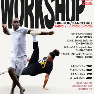 Dimanche 15 mars 2026 Workshop avec MIIC & LUDO LUCOL